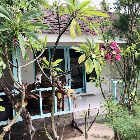 Indigenous Bungalow Gili Trawangan Eksteriør bilde